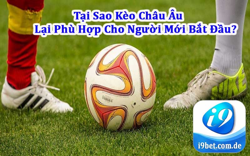 Tại sao kèo châu âu lại phù hợp cho người mới tham gia 