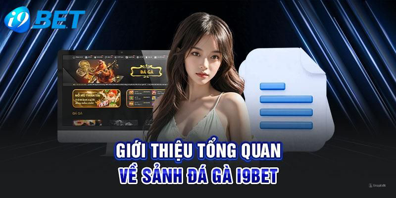 Thông tin chung cơ bản về sảnh đá gà i9bet người chơi cần biết